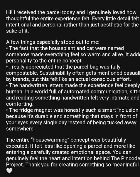 Screenshot of a detailed community feedback note about The Pincode Project.